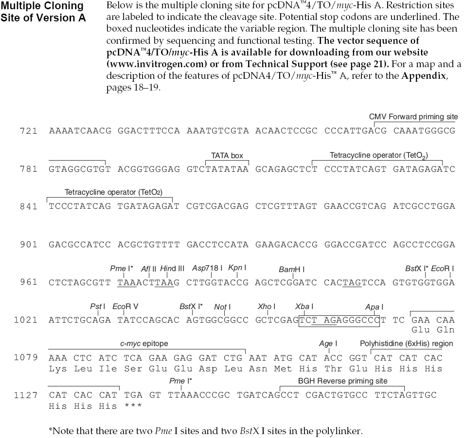 pcDNA4/TO/Myc-His A载体多克隆位点 点击看大图 pcDNA4/TO/Myc-His A多克隆位点